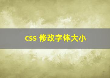 css 修改字体大小